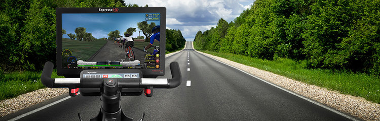 Define interactive fitness