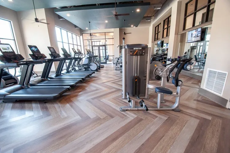 Gym Equipment