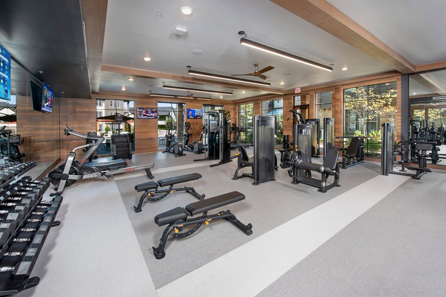 Modern Fitness center