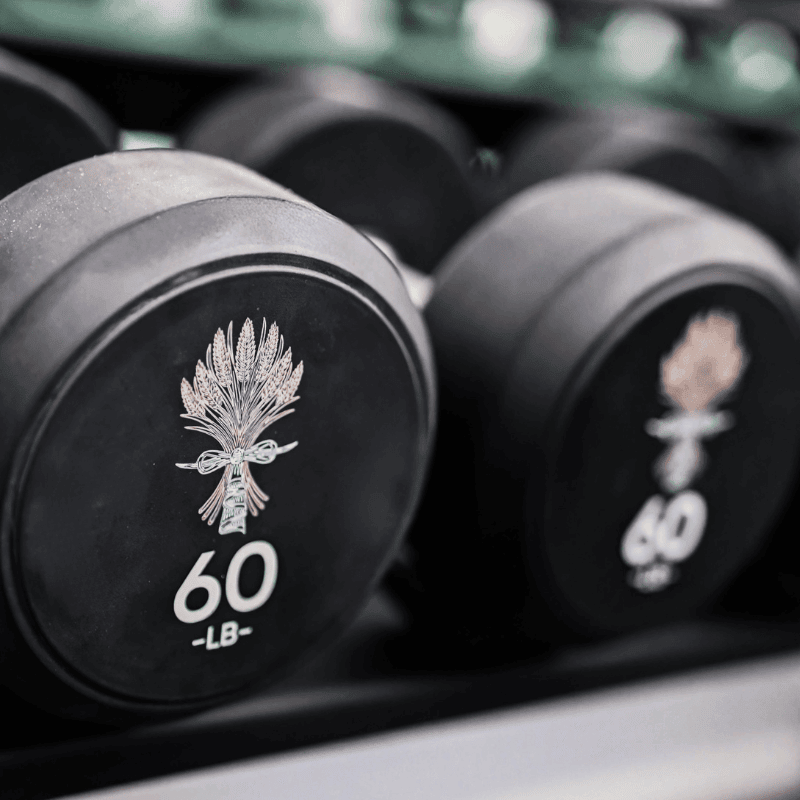 Thomas County Central High School branded weight lifting equipment