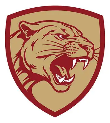 Pulaski Logo